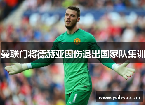 曼联门将德赫亚因伤退出国家队集训